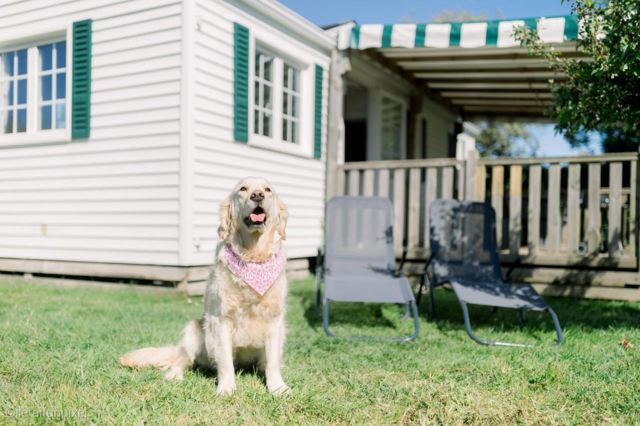 Le Cottage De Lyxie-Nature Et Sports Talmont-Saint-Hilaire ภายนอก รูปภาพ